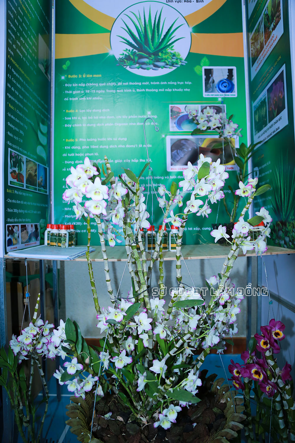 Lâm Đồng tổ chức Hội thi Tin học trẻ lần thứ XXXII năm 2026