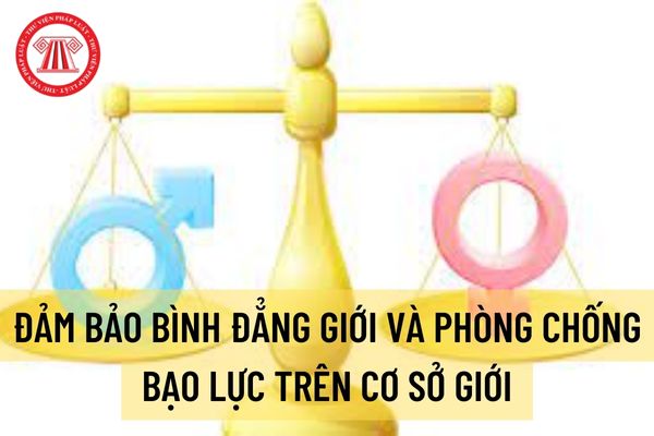 Sở GDĐT: Tổ chức Cuộc thi tìm hiểu về luật Bình đẳng giới, bình đẳng giới, phòng, chống bạo lực trên cơ sở giới, phòng, chống xâm hại tình dục;...