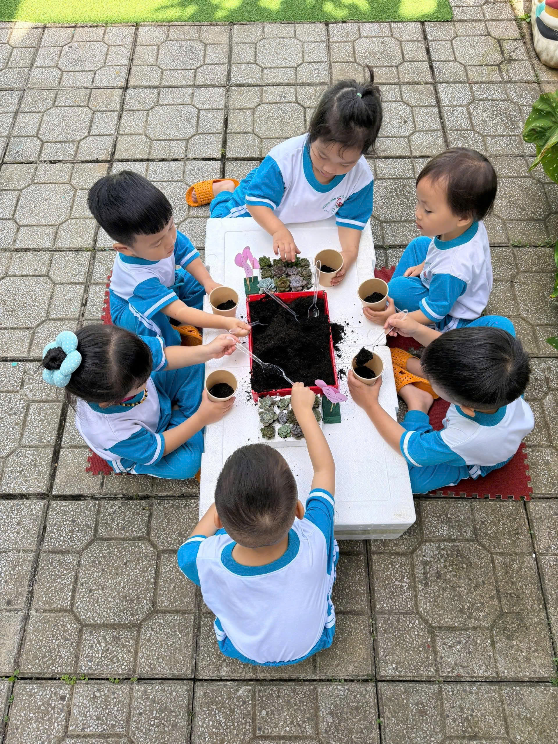 Mùa hè ý nghĩa tại trường mầm non Bông Hồng