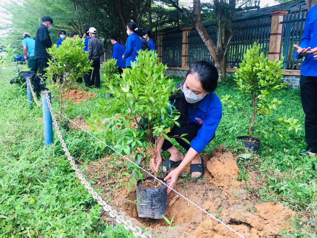 Phong trào Trồng cây xanh tại trường THPT Lê Quý Đôn, Đạ Tẻh