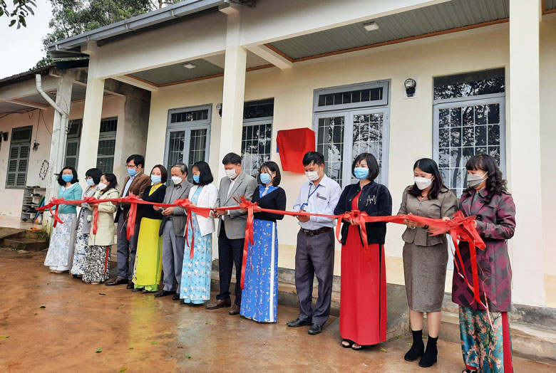 Nhân tình thương gắn tình đồng nghiệp