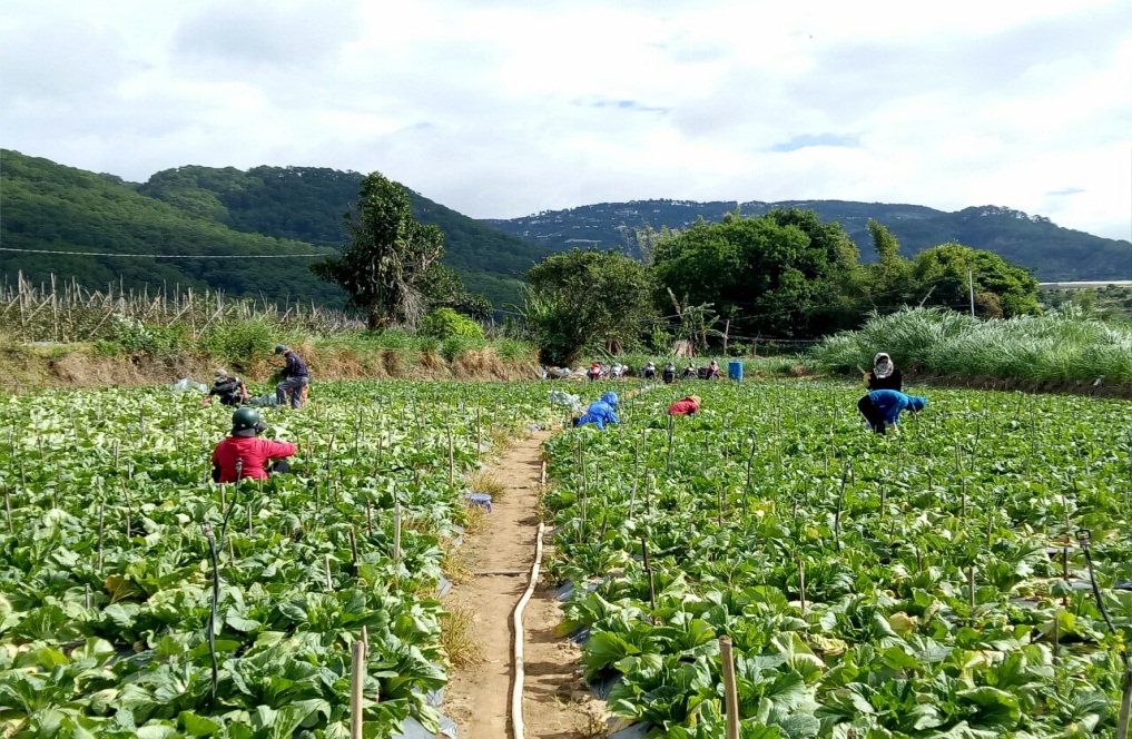 GẦN 12 TẤN NÔNG SẢN TIẾP SỨC CHỐNG ĐẠI DỊCH