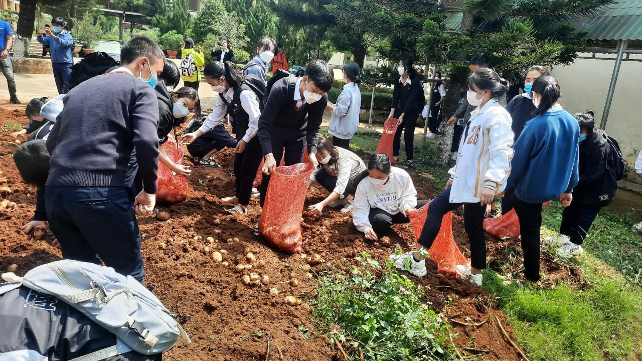 KẾT NỐI NHỮNG YÊU THƯƠNG TỪ MÔ HÌNH TRỒNG KHOAI TÂY  CỦA LỚP NGHỀ LÀM VƯỜN – NĂM HỌC 2021 – 2022,  ĐỊNH HƯỚNG CHƯƠNG TRÌNH GDPT 2018
