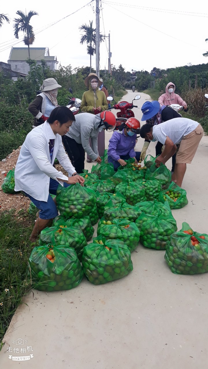 GỬI YÊU THƯƠNG VỀ  TÂM DỊCH
