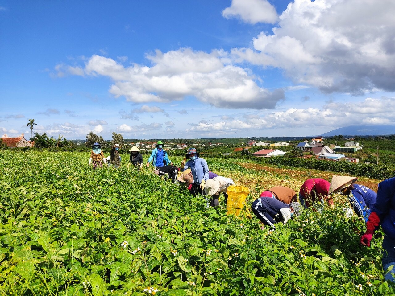 MÙA HÈ ĐẶC BIỆT CỦA CBNGNLĐ TỈNH LÂM ĐỒNG